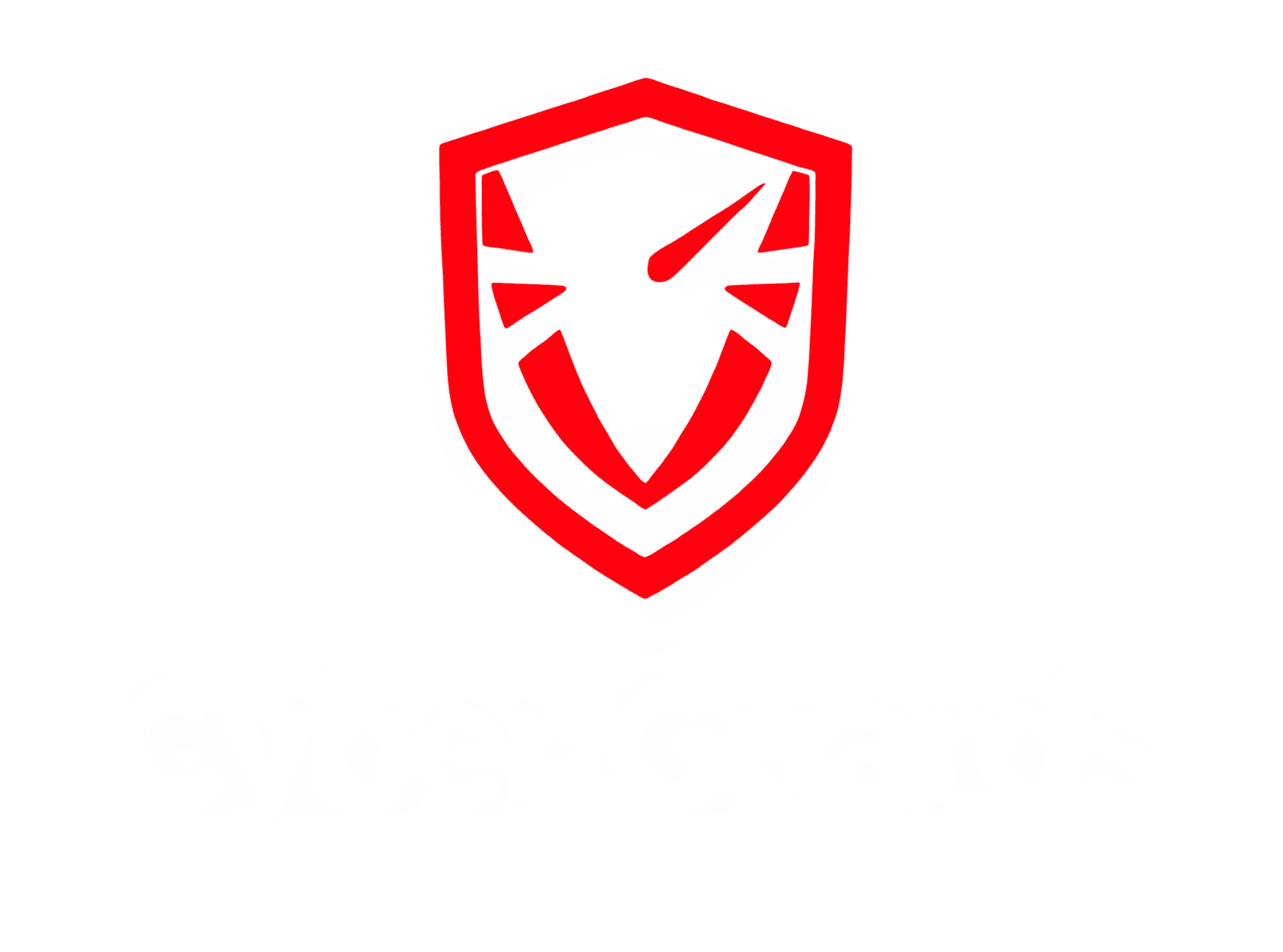 Cyber Guards